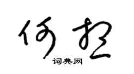 梁锦英何想草书个性签名怎么写