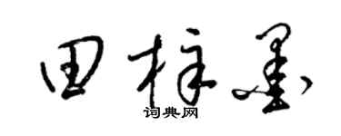 梁锦英田梓墨草书个性签名怎么写