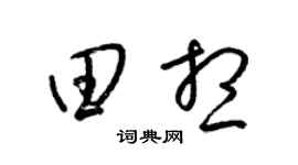 梁锦英田想草书个性签名怎么写