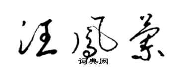 梁锦英汪凤兰草书个性签名怎么写