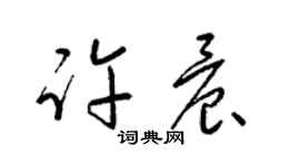 梁锦英许晨草书个性签名怎么写