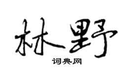 曾庆福林野行书个性签名怎么写