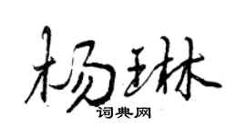 曾庆福杨琳行书个性签名怎么写