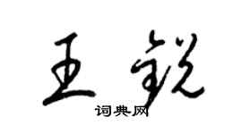 梁锦英王锐草书个性签名怎么写