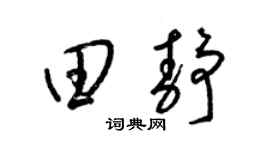 梁锦英田静草书个性签名怎么写