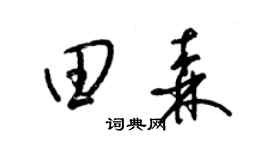 梁锦英田森草书个性签名怎么写