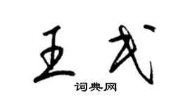 梁锦英王民草书个性签名怎么写