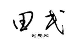 梁锦英田民草书个性签名怎么写