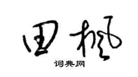 梁锦英田枫草书个性签名怎么写