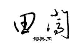 梁锦英田闯草书个性签名怎么写