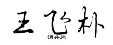 曾庆福王飞朴行书个性签名怎么写