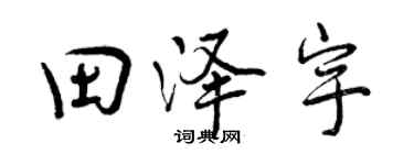 曾庆福田泽宇行书个性签名怎么写