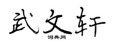 曾庆福武文轩行书个性签名怎么写