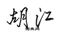 骆恒光胡江行书个性签名怎么写