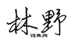 骆恒光林野行书个性签名怎么写