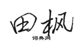 骆恒光田枫行书个性签名怎么写