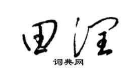 梁锦英田润草书个性签名怎么写