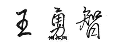 骆恒光王勇智行书个性签名怎么写