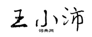 曾庆福王小沛行书个性签名怎么写