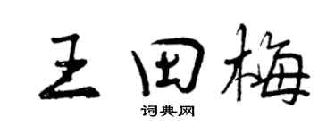 曾庆福王田梅行书个性签名怎么写