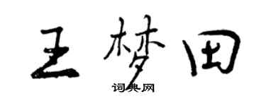 曾庆福王梦田行书个性签名怎么写