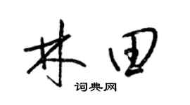 梁锦英林田草书个性签名怎么写