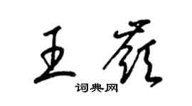 梁锦英王岭草书个性签名怎么写