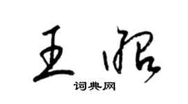 梁锦英王昭草书个性签名怎么写