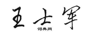 骆恒光王士军行书个性签名怎么写