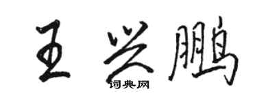 骆恒光王兴鹏行书个性签名怎么写