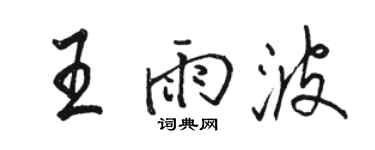 骆恒光王雨波行书个性签名怎么写