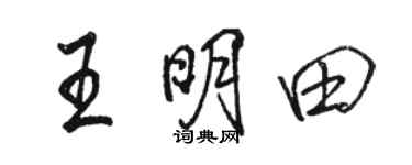 骆恒光王明田行书个性签名怎么写