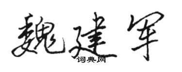 骆恒光魏建军行书个性签名怎么写