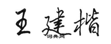 骆恒光王建楷行书个性签名怎么写