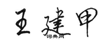 骆恒光王建甲行书个性签名怎么写