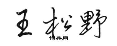 骆恒光王松野行书个性签名怎么写