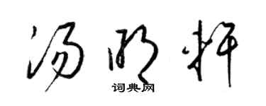 梁锦英汤明轩草书个性签名怎么写