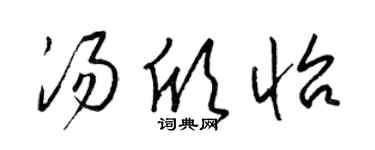 梁锦英汤欣怡草书个性签名怎么写