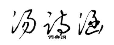 梁锦英汤诗涵草书个性签名怎么写