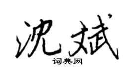 王正良沈斌行书个性签名怎么写