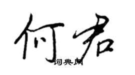 王正良何君行书个性签名怎么写