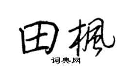 王正良田枫行书个性签名怎么写