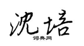 王正良沈培行书个性签名怎么写