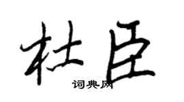 王正良杜臣行书个性签名怎么写