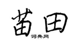 王正良苗田行书个性签名怎么写