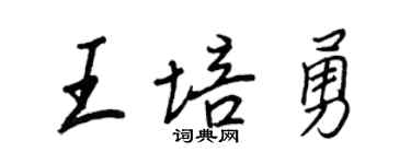 王正良王培勇行书个性签名怎么写