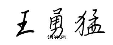 王正良王勇猛行书个性签名怎么写