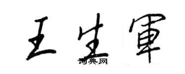 王正良王生军行书个性签名怎么写