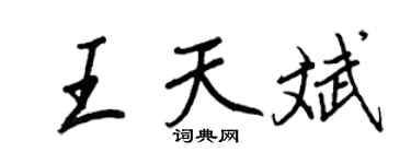 王正良王天斌行书个性签名怎么写