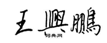 王正良王兴鹏行书个性签名怎么写